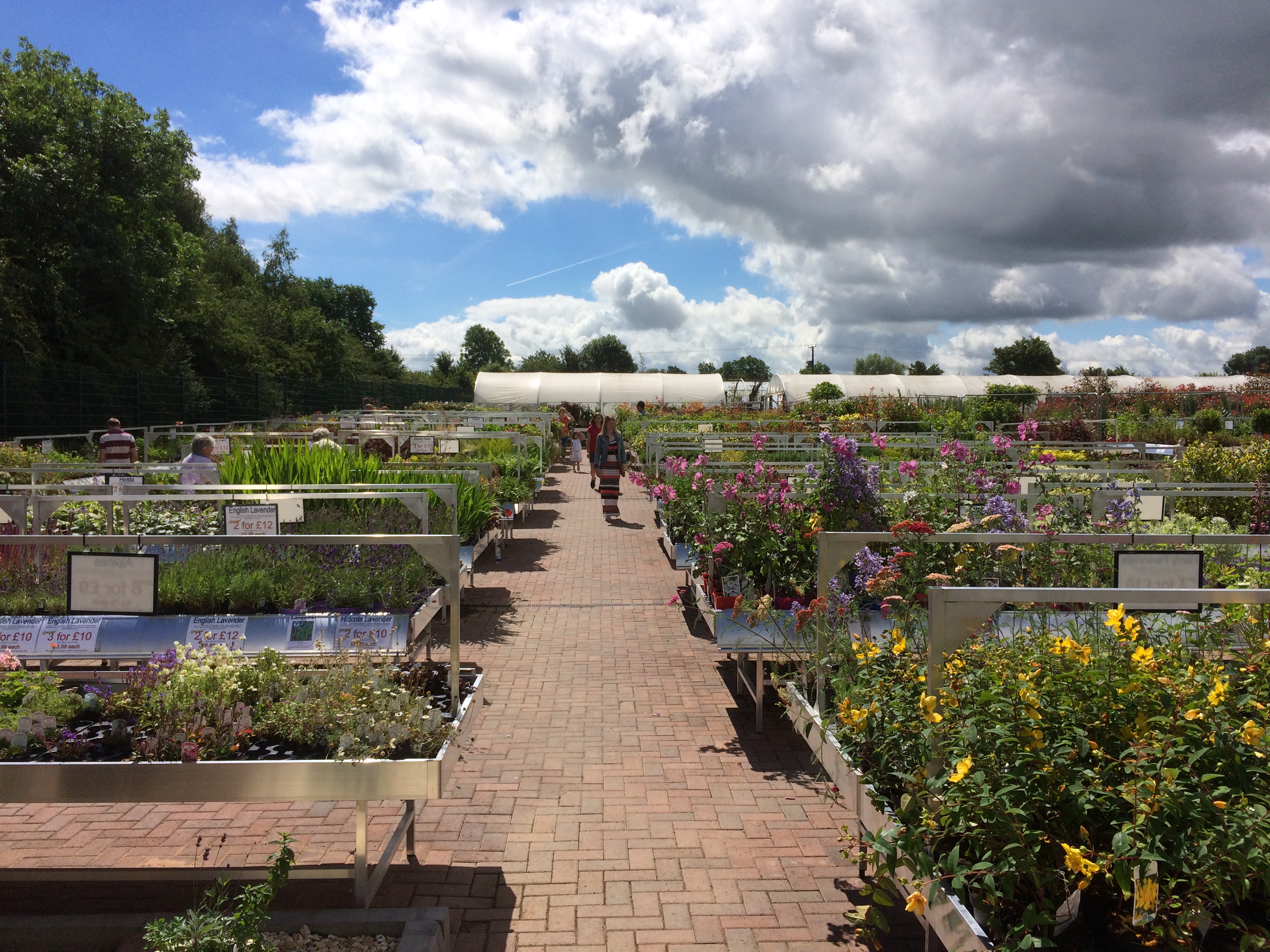 Sharnford Garden Centre